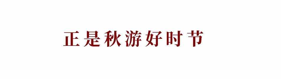 赤菟马水性地坪涂料西南运营中心2020团建活动